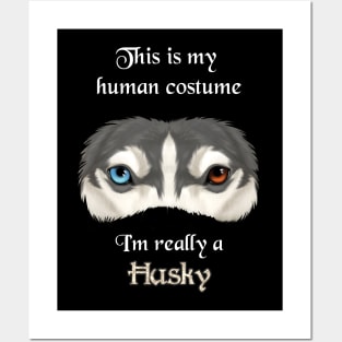 I'm really a Husky - grey Posters and Art